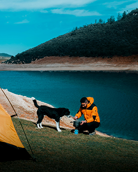Pet Camping Gear Souly Outdoors