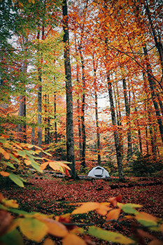 Fall Camping